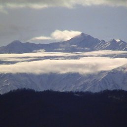 ���� ������, ���������, 43 ���� - ��������� 9 ������� 2011