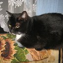 ���� �������, �����-���������, 58 ��� - ��������� 23 ������ 2011