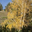  , -, 42  -  31  2011   