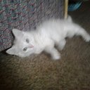 ���� �������, ������, 45 ��� - ��������� 14 ������ 2013 � ������ ���� ����������