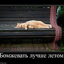  Nataly, , 52  -  18  2010   Funny Cats