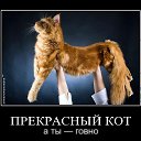 ���� ���, ������ - ��������� 6 ������ 2010 � ������ ������ �����