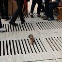 ���� Drdemon, ������, 47 ��� - ��������� 13 �������� 2011 � ������ ������ 2011 ���������