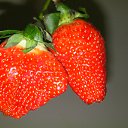 ���� �����, ��������� - ��������� 8 ���� 2012 � ������ ���� ����������