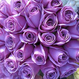 ���� �����, ������, 56 ��� - ��������� 19 ������� 2012