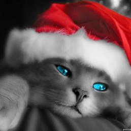 ���, ������, 26 ���