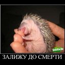 ���� Red, ������� - ��������� 16 ������ 2011 � ������ ���������������� :)�