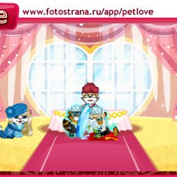 ���� ���������, �����������, 36 ��� - ��������� 8 ������� 2010