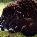 ���� ����� - ���������� ��������!!!, �����������, 56 ��� - ��������� 14 ������� 2009 � ������ ���������� �������Ż