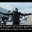 ���� �������, ���������, 43 ���� - ��������� 10 ���� 2013 � ������ ���� ����������