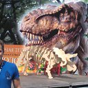 ���� ����, ������, 47 ��� - ��������� 16 ���� 2012 � ������ ���� ����������