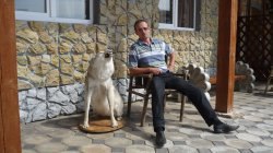 ����, ��������, 46 ���