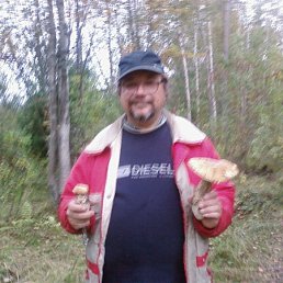 ���� ����, �����-���������, 66 ��� - ��������� 20 ������� 2011