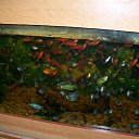 ���� Genrix, ���� - ��������� 1 ���� 2012 � ������ ���� ����������