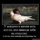 ���� ����� ���������, ���� - ��������� 10 ������� 2013 � ������ ���� ����������