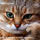 ���� ���� ������, ������, 44 ���� - ��������� 3 ������� 2012 � ������ �������