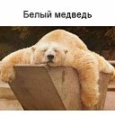  ,  -  11  2012