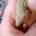 ���� ���, �����������, 46 ��� - ��������� 19 ������� 2009 � ������ �������