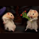 ���� &deg;&bull;*������&deg;&bull;*, ����������, 23 ���� - ��������� 9 ������� 2010 � ������ ��������