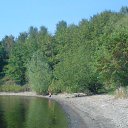 ���� Rina, �������, 39 ��� - ��������� 26 ������ 2010 � ������ ��������