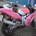  , , 40  -  13  2009   )))