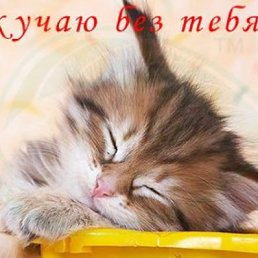 ���� Akasanya, ������������ - ��������� 9 �������� 2011