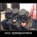 ���� Roli, ��������, 53 ���� - ��������� 14 ��� 2011 � ������ �����������