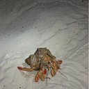 ���� �����, ��������� - ��������� 14 ��� 2012 � ������ �������