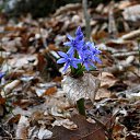 ���� ����, ������, 55 ��� - ��������� 29 ������ 2012 � ������ ���� ����������