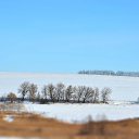 ���� ��������, �������, 58 ��� - ��������� 20 ������ 2012 � ������ �������