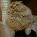 ������- ����������� ����)))