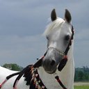 ���� ���, �������, 67 ��� - ��������� 16 ������� 2011 � ������ ��������))�