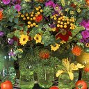 ���� ����� - ���������� ��������!!!, �����������, 56 ��� - ��������� 4 ������ 2010 � ������ �����ۻ