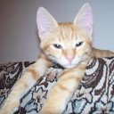 �������...����... �� ������� ���� �������� � ������ �����...�