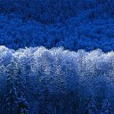 ���� ����, �����-��������� - ��������� 19 ����� 2012 � ������ �������