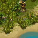 ���� ����������, ������, 34 ���� - ��������� 26 ������ 2013 � ������ �Tropikania�