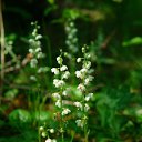 ���� ���������, ���������, 59 ��� - ��������� 28 ���� 2011 � ������ ��������