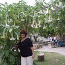 ���� Rauza Halilova, �����������, 67 ��� - ��������� 8 ���� 2013 � ������ ���� ����������