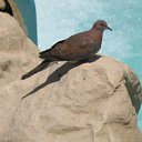 ���� ������, ������, 35 ��� - ��������� 3 ���� 2010 � ������ �������