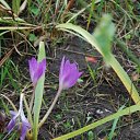  ir@ge))) ))), , 47  -  19  2010   