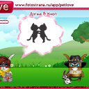 ���� ������, �����-���������, 41 ��� - ��������� 18 ��� 2011 � ������ �PetLove�