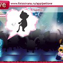 ���� ������(������), ����, 26 ��� - ��������� 24 ������ 2010 � ������ �PetLove�