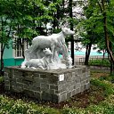 ���� �����, ����������, 56 ��� - ��������� 25 ���� 2011 � ������ ���� ����������