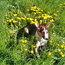 ���� �����, �����-���������, 62 ���� - ��������� 17 ��� 2012 � ������ ���� ����������