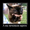 ���� �������, ������, 39 ��� - ��������� 23 ������� 2010 � ������ ��������������