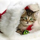 ���� ����� - ���������� ��������!!!, �����������, 56 ��� - ��������� 4 ������� 2009 � ������ �������ϻ