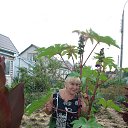 ������ 2012� �� ������� ���� ����������