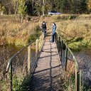 ���� ��������, ���������, 38 ��� - ��������� 15 ������� 2010 � ������ ���� ����������