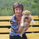 ���� �������, ������, 59 ��� - ��������� 9 ���� 2013 � ������ ���� ����������