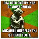 ���� ��������, ����, 33 ���� - ��������� 29 ������� 2011
